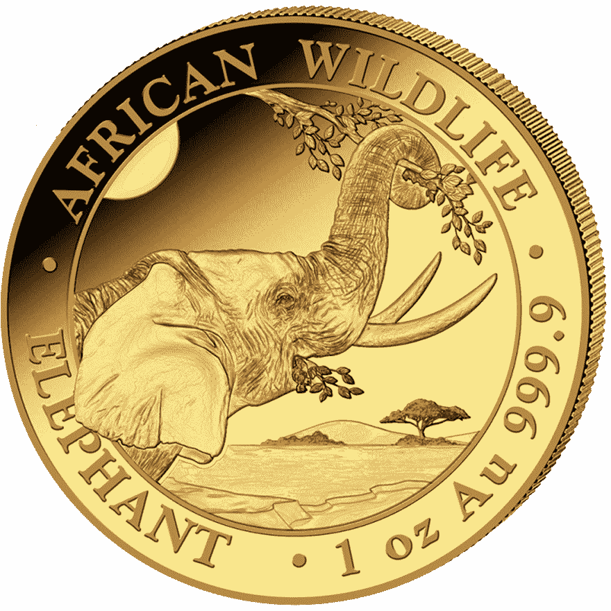 1 oz somalia elephant gold coin 2023 front