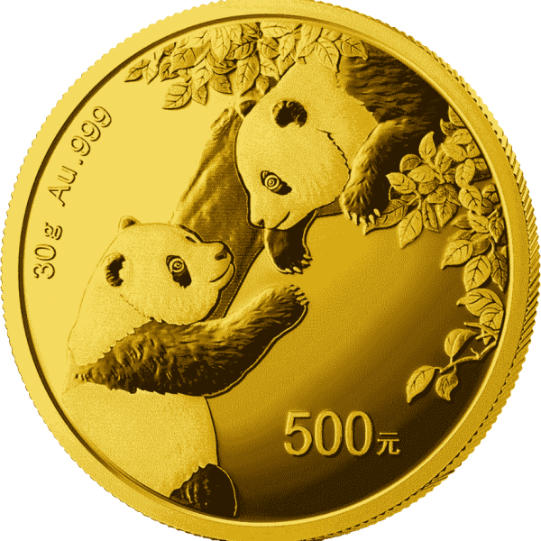 30g china panda gold coin 2023 front